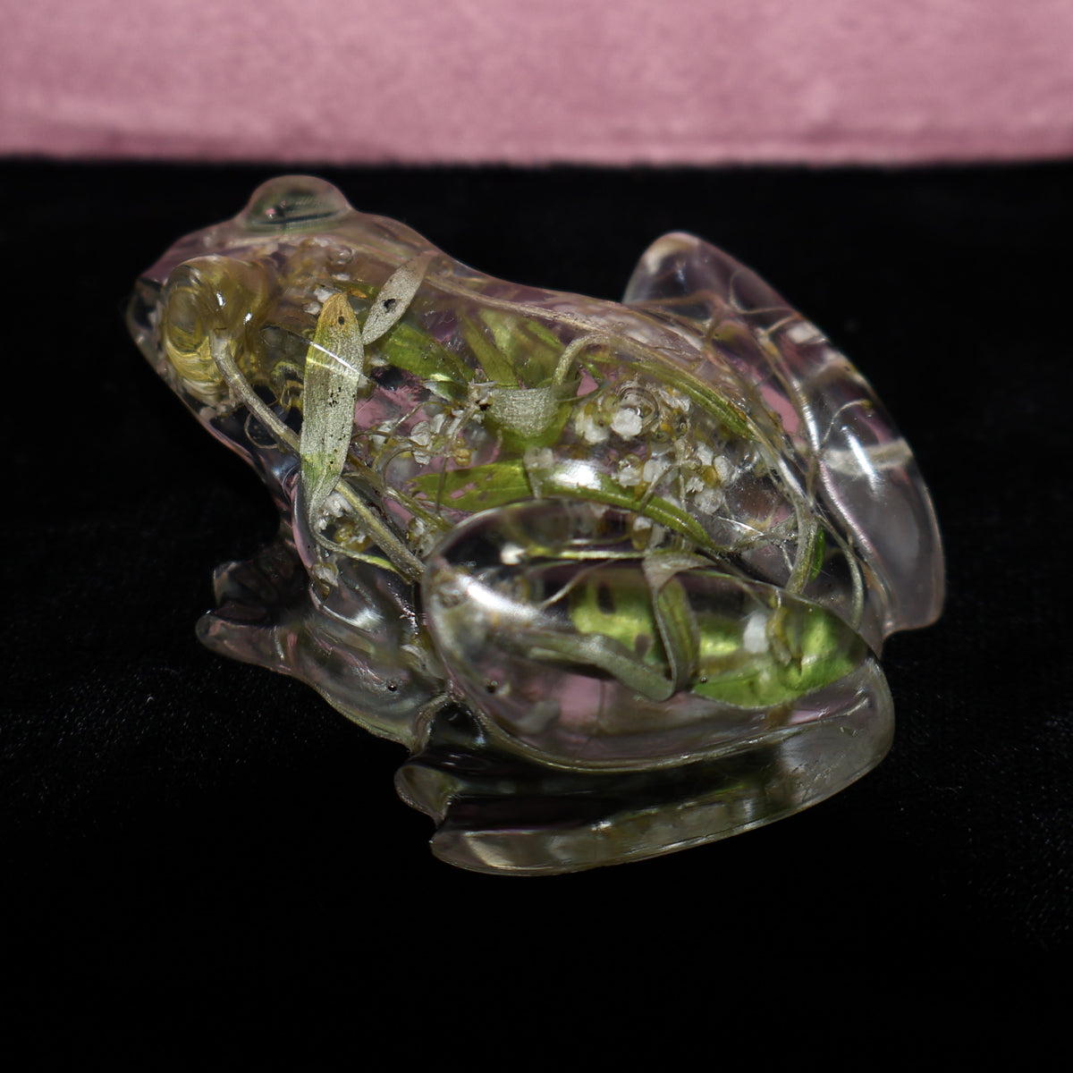 Grenouille - Alysson Maritime