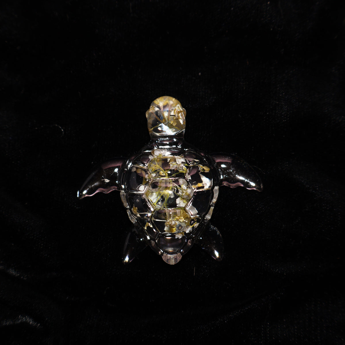 Tortue de mer - Alysson maritime