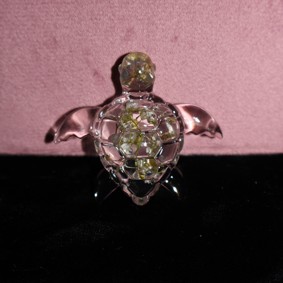 Tortue de mer - Alysson maritime