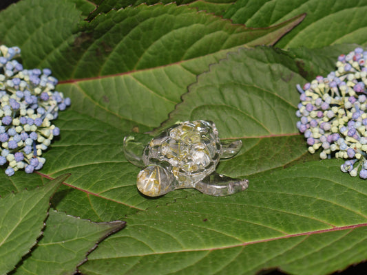 Tortue de mer - Alysson maritime
