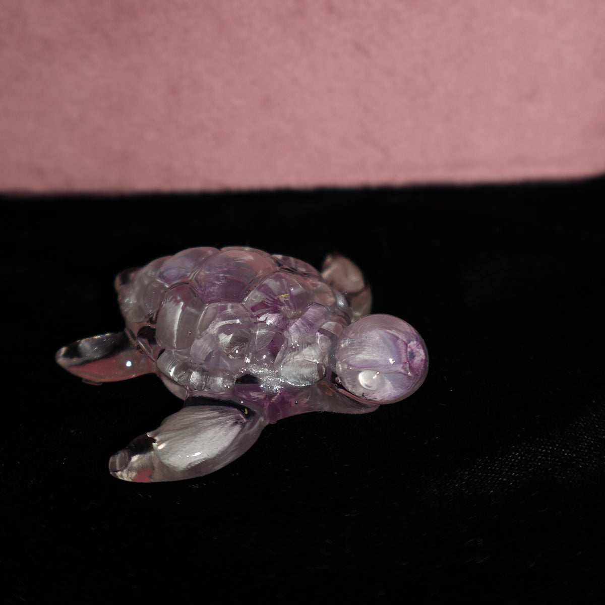 Tortue de mer - Phlox