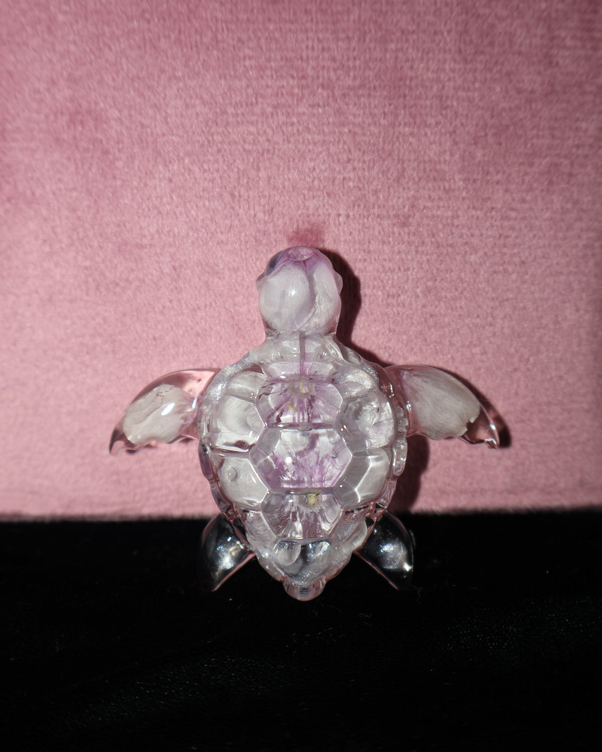 Tortue de mer - Phlox