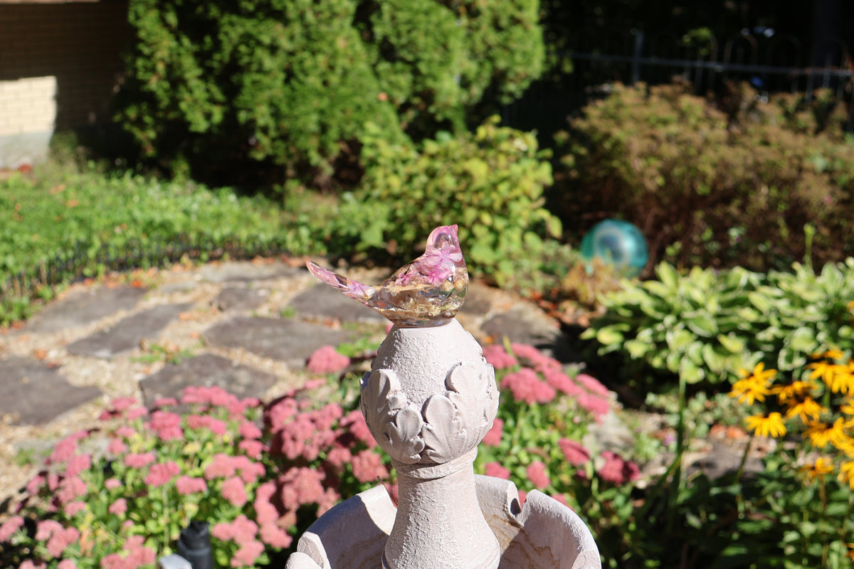 Grand oiseau - Phlox
