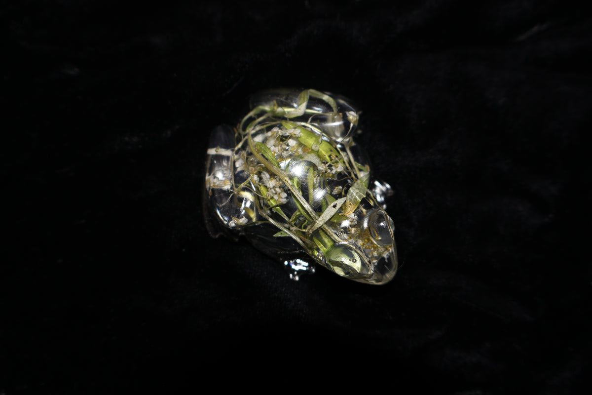 Grenouille - Alysson Maritime